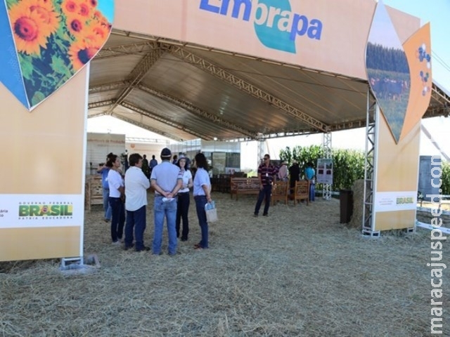 Showtec 2018 oportuniza conhecimentos sobre sistemas sustentáveis, gestão e inovação no agro Showtec 2018 oportuniza conhecimentos sobre sistemas sustentáveis, gestão e inovação no agro