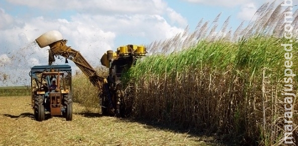 Volume exportado de etanol já supera em 10,8% o de janeiro de 2017