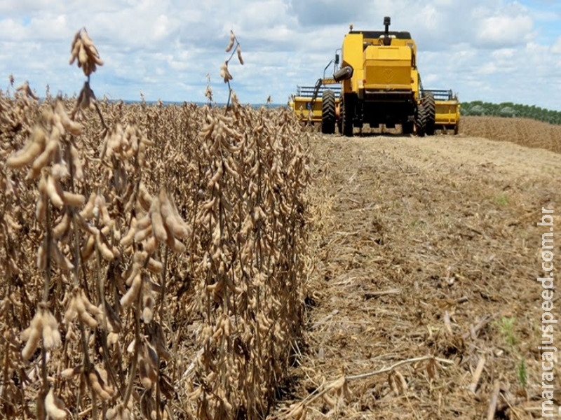 Colheita da soja avança em MS e atinge 34,5% da área