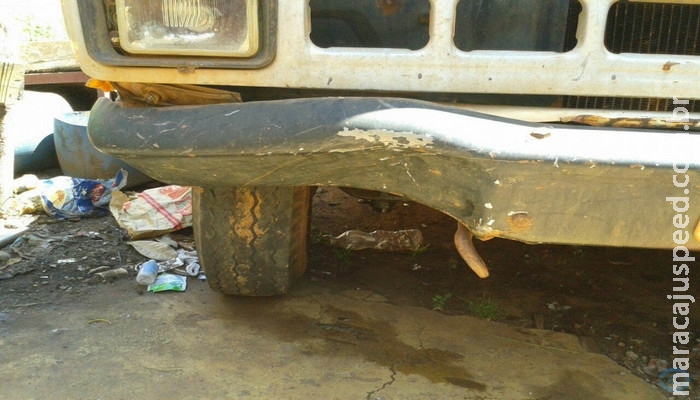 Idoso que morreu em rodovia foi atropelado por caminhoneiro que fugiu