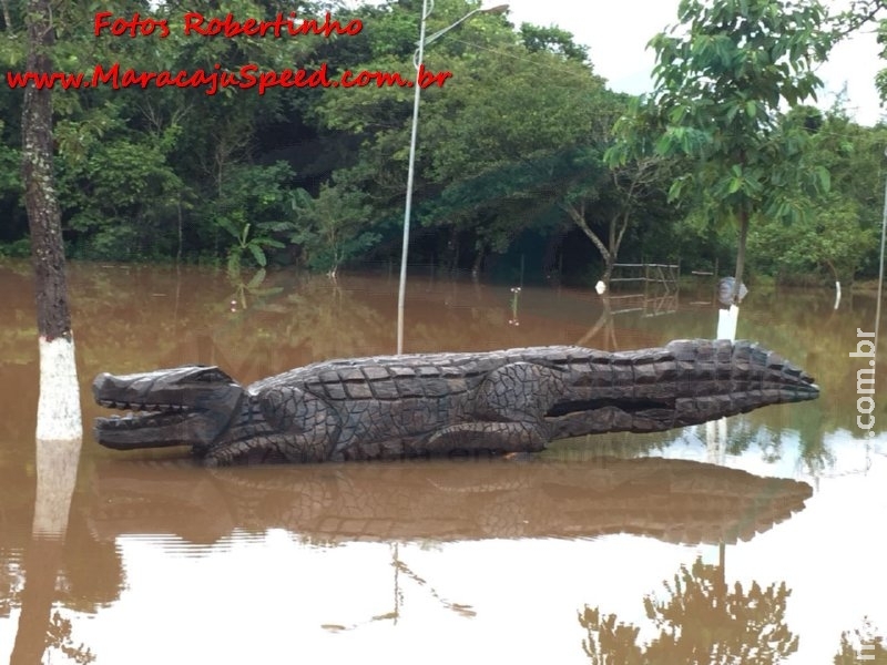 Maracaju: Chuva intensa durante a noite, deixa regiões alagadiças em bairros e vilas