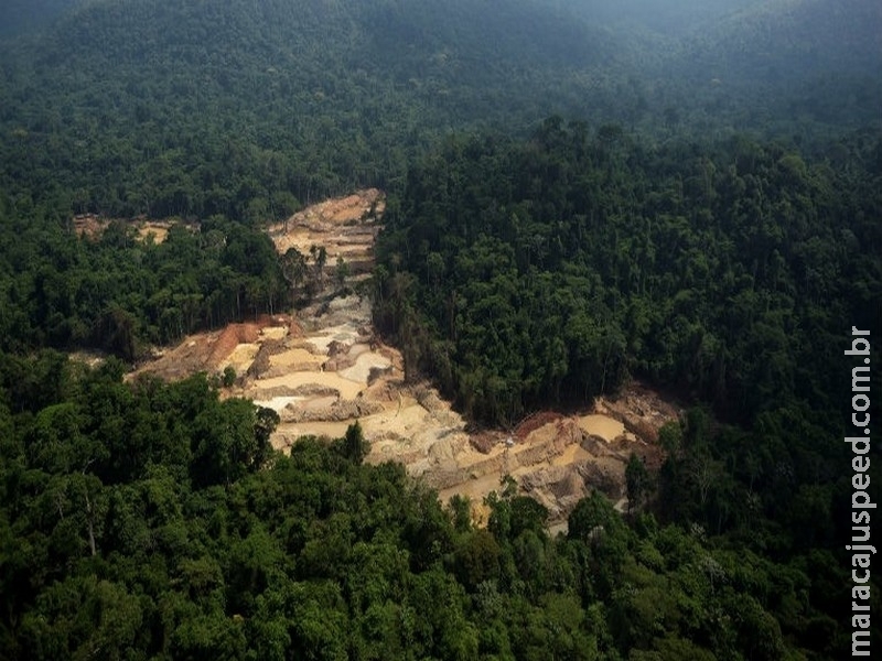 Monitoramento emite 20 mil alertas de desmatamento