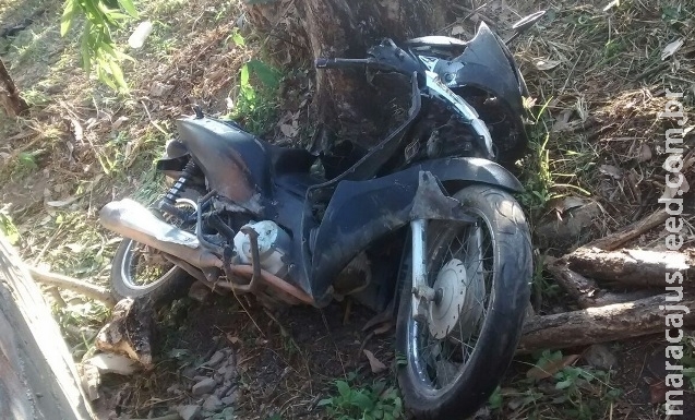 Motociclista perde controle, colide contra árvore e morre em rodovia Motociclista perde controle, colide contra árvore e morre em rodovia