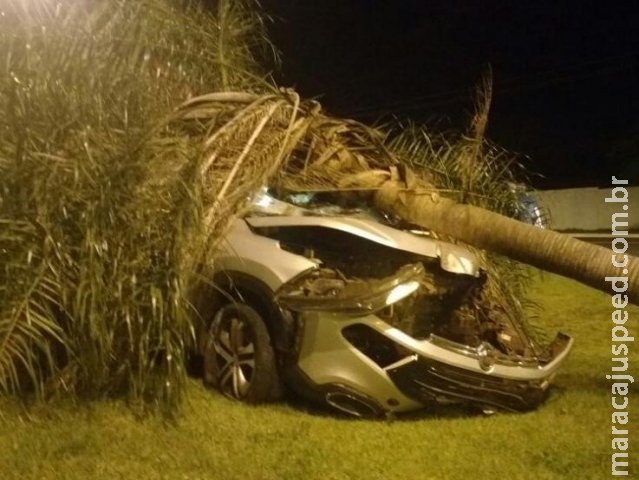 Motorista de caminhonete derruba coqueiro na Duque de Caxias após “fechada” Motorista de caminhonete derruba coqueiro na Duque de Caxias após “fechada”
