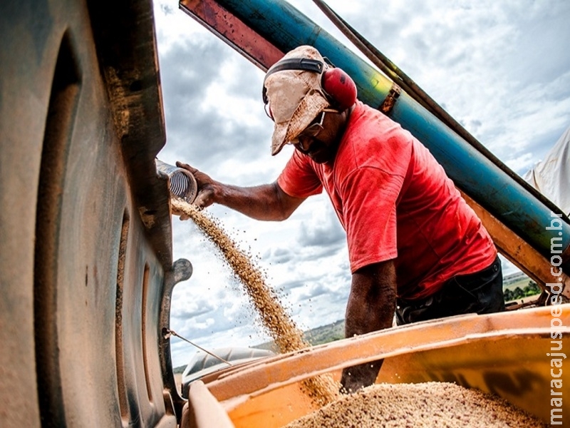Piso salarial do trabalhador rural de MS será de R$ 1.061 a partir de março Piso salarial do trabalhador rural de MS será de R$ 1.061 a partir de março