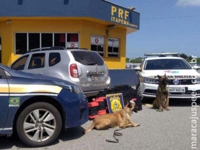 Policial do MS é preso em Santa Catarina com 104,5 kg de crack Policial do MS é preso em Santa Catarina com 104,5 kg de crack