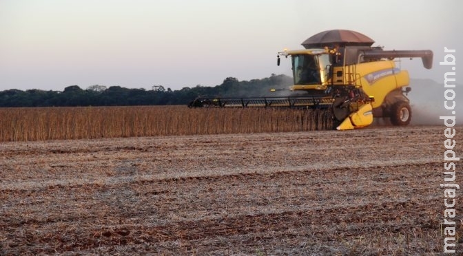 Colheita da soja chega a 75% da área de Mato Grosso do Sul com boa produtividade Colheita da soja chega a 75% da área de Mato Grosso do Sul com boa produtividade