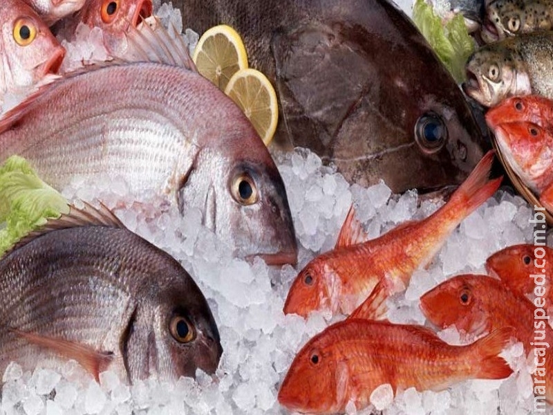 Confira dicas para comprar pescados com qualidade e segurança Confira dicas para comprar pescados com qualidade e segurança