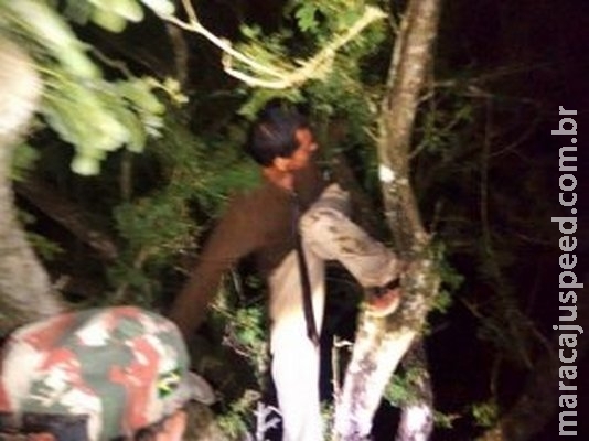 Homem é arrastado por correnteza do rio e fica preso em árvore Homem é arrastado por correnteza do rio e fica preso em árvore