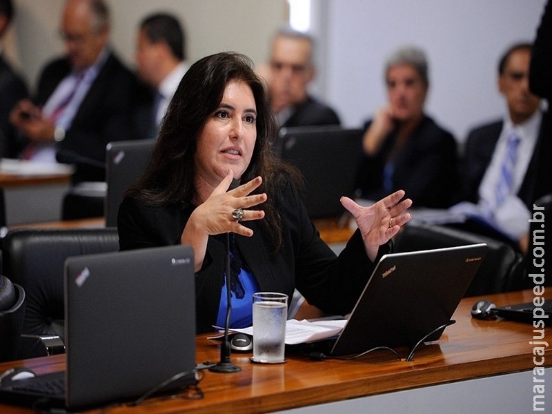 Multas ambientais podem ajudar a financiar plantio de árvores nos municípios Multas ambientais podem ajudar a financiar plantio de árvores nos municípios
