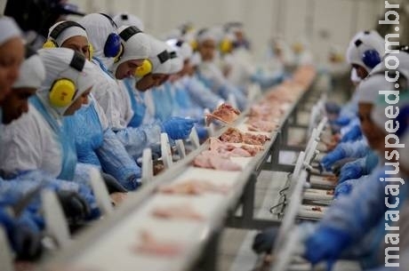 PF cumpre mandados de prisão temporária na 3ª fase da Operação Carne Fraca PF cumpre mandados de prisão temporária na 3ª fase da Operação Carne Fraca