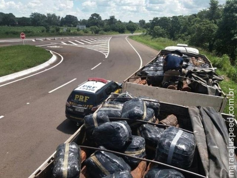PRF apreende R$ 35 mil em contrabando escondido em carregamento de madeira