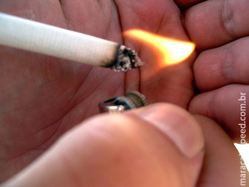 Proposta proíbe motorista de fumar dirigindo Proposta proíbe motorista de fumar dirigindo