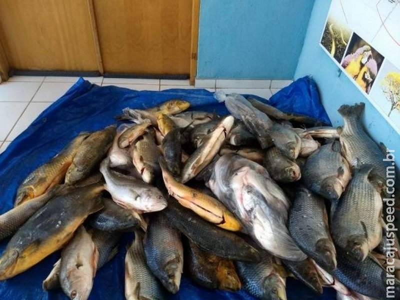 Três são presos e multados em R$ 7,4 mil por venda ilegal de peixes