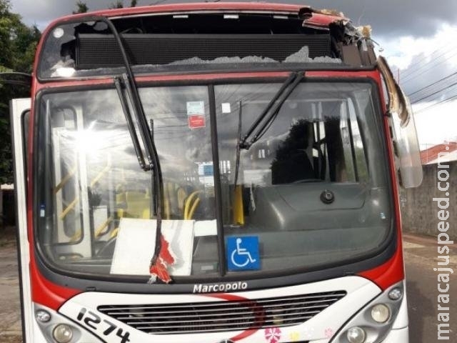 Árvore cai sobre ônibus e interrompido itinerário no Tiradentes Árvore cai sobre ônibus e interrompido itinerário no Tiradentes