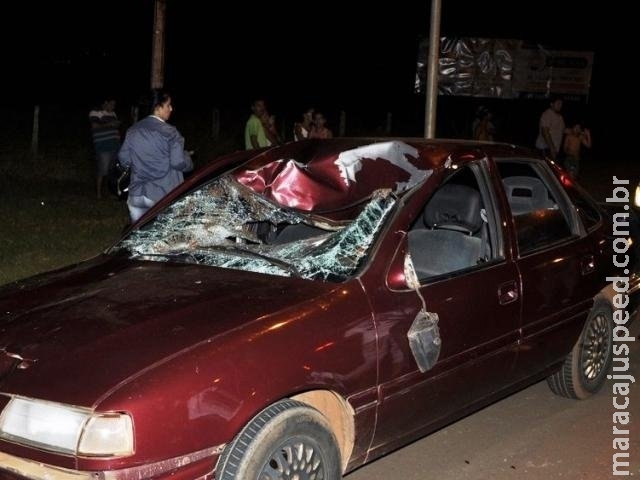 Cavalo morre e duas pessoas ficam feridas após carro atropelar animal Cavalo morre e duas pessoas ficam feridas após carro atropelar animal