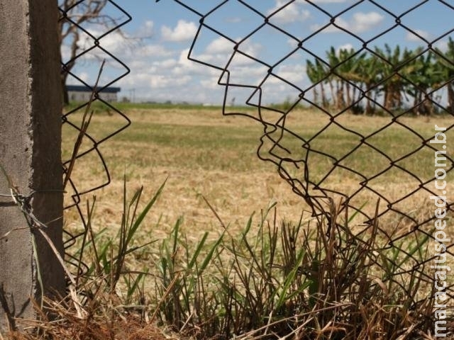 Com buraco e cerca caída, acesso de bichos ao aeroporto é risco frequente Com buraco e cerca caída, acesso de bichos ao aeroporto é risco frequente