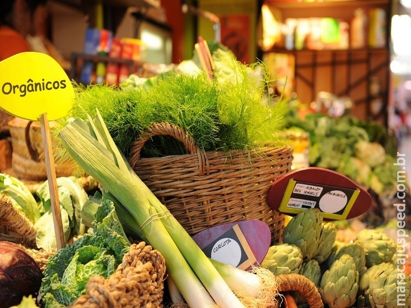 Descubra os benefícios dos alimentos orgânicos
