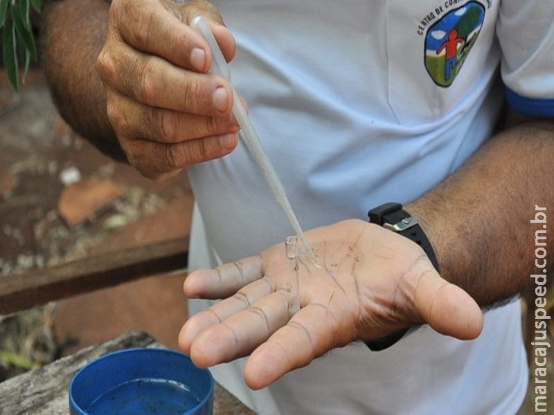 Dourados tem 42 casos confirmados de chikungunya em 2018