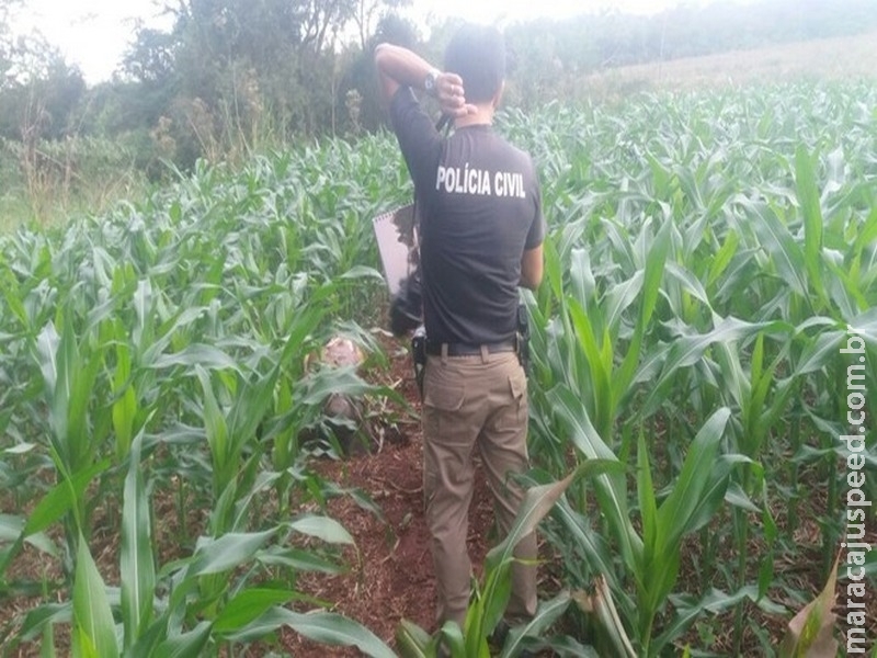 Jovem é encontrada morta em plantação de milho