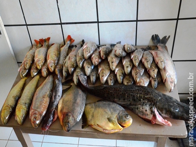 PMA multa em R$52 mil pescadores em MS PMA multa em R$52 mil pescadores em MS