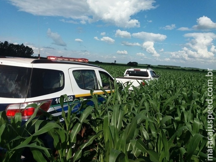 Traficante abandona caminhonete com 1,2 tonelada de maconha