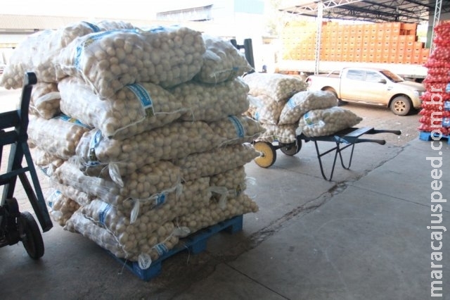 Ceasa é reabastecido, mas produtos continuam até 3 vezes mais caros Ceasa é reabastecido, mas produtos continuam até 3 vezes mais caros