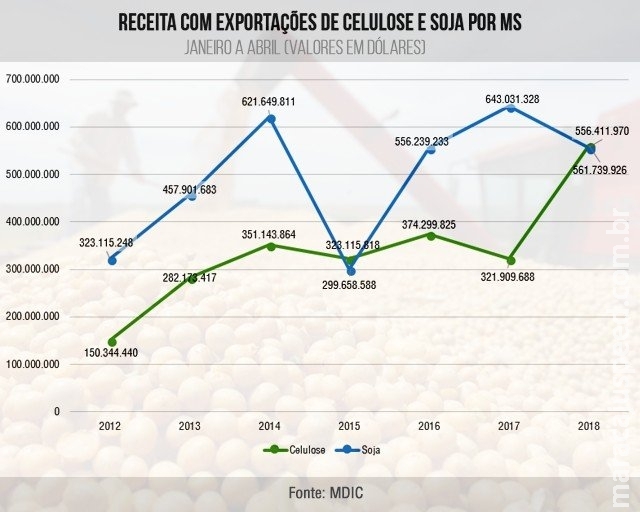 Celulose "bate" a soja e exportações chegam a um terço das vendas de MS Celulose "bate" a soja e exportações chegam a um terço das vendas de MS