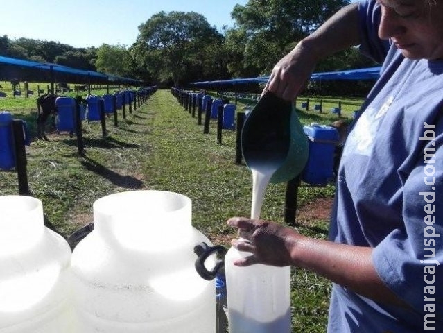 Com coleta parada, produtores estão "no limite" para não descartar leite Com coleta parada, produtores estão "no limite" para não descartar leite