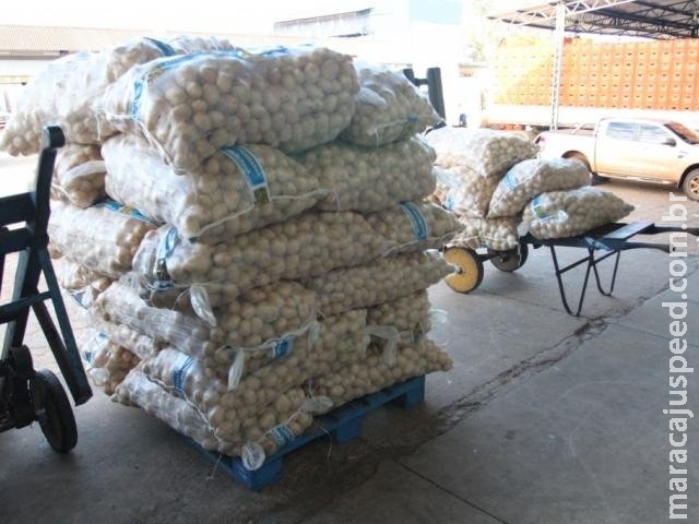 Greve dos caminhoneiros faz preços de produtos beirarem o triplo no Ceasa Greve dos caminhoneiros faz preços de produtos beirarem o triplo no Ceasa