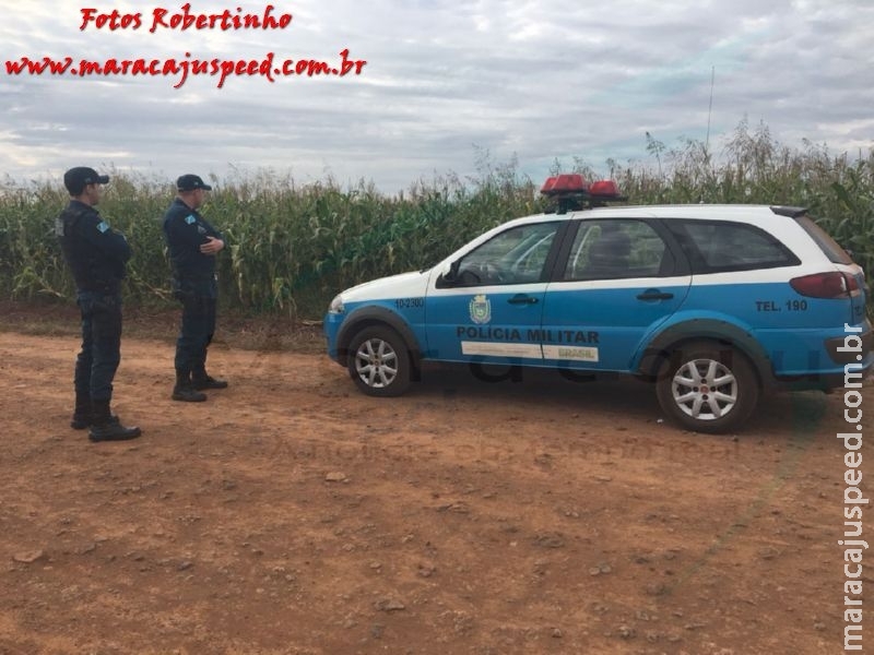 Maracaju: Corpo de homem desaparecido é encontrado degolado em milharal