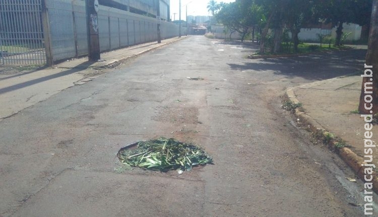  Moradores usam galhos para tapar buraco no Bairro Monte Castelo