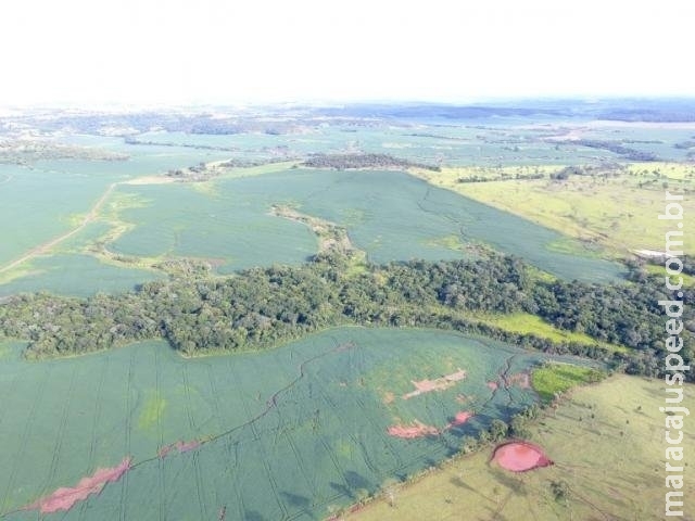 Proprietários rurais são multados em R$ 1 milhão por desmatamento ilegal Proprietários rurais são multados em R$ 1 milhão por desmatamento ilegal