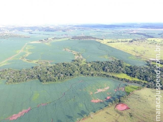 Proprietários rurais são multados em R$ 1 milhão por desmatamento ilegal