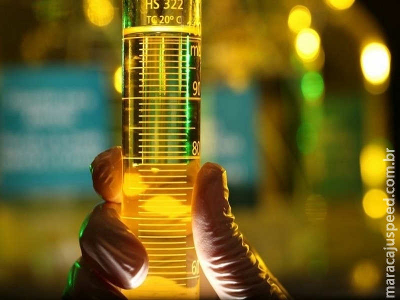 Regulamentação da produção de biocombustível entra em consulta pública Regulamentação da produção de biocombustível entra em consulta pública