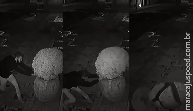 VÍDEO: Empresário oferece recompensa para encontrar jovem que quebrou vasos de R$ 7 mil VÍDEO: Empresário oferece recompensa para encontrar jovem que quebrou vasos de R$ 7 mil