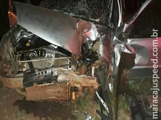 Carros colidem frontalmente depois de anta atravessar rodovia; 3 pessoas ficaram feridas
