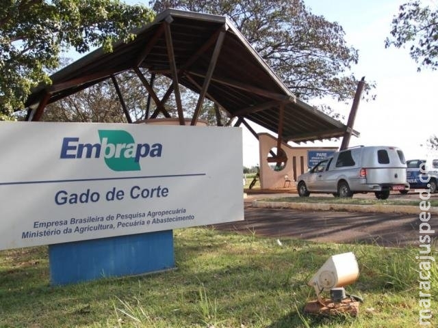 Corpo em decomposição é encontrado no mesmo local de buscas por pedreiro Corpo em decomposição é encontrado no mesmo local de buscas por pedreiro
