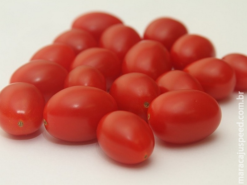 Híbrido de tomate grape é recordista em teor de licopeno
