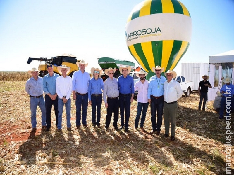Lançamento Estadual: Colheita do milho 2ª safra em MS deve atingir cerca de 7 milhões de toneladas Lançamento Estadual: Colheita do milho 2ª safra em MS deve atingir cerca de 7 milhões de toneladas