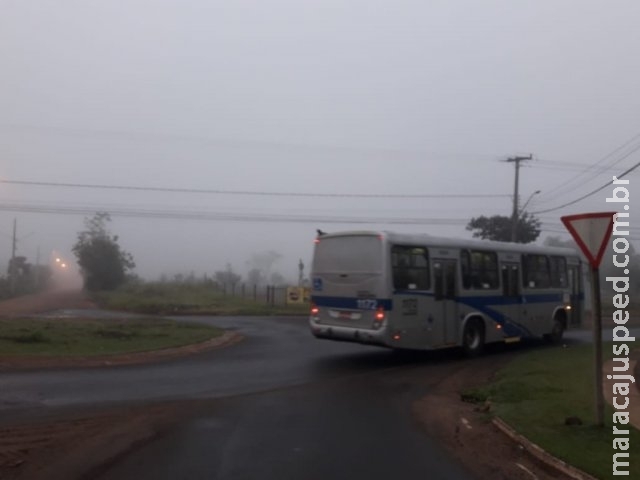 MS teve nevoeiro em oito municípios; Aral Moreira foi cidade mais fria MS teve nevoeiro em oito municípios; Aral Moreira foi cidade mais fria