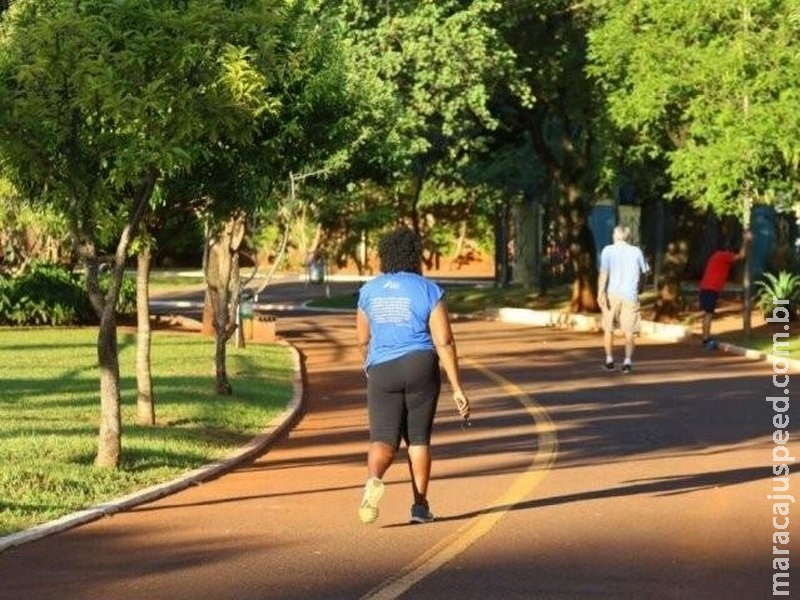 Obesidade atinge quase 20% da população brasileira, mostra pesquisa Obesidade atinge quase 20% da população brasileira, mostra pesquisa