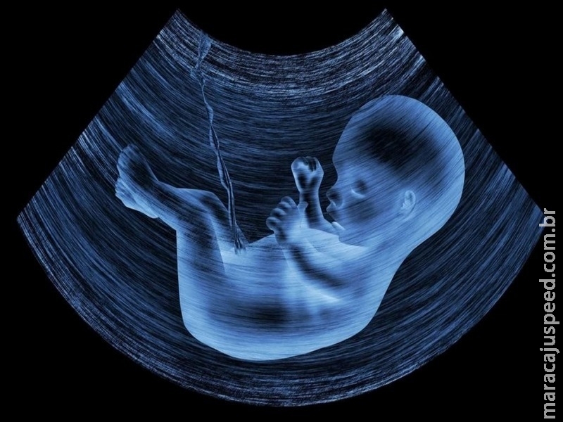 Posição da CNBB em defesa incondicional da vida humana e contra o aborto Posição da CNBB em defesa incondicional da vida humana e contra o aborto