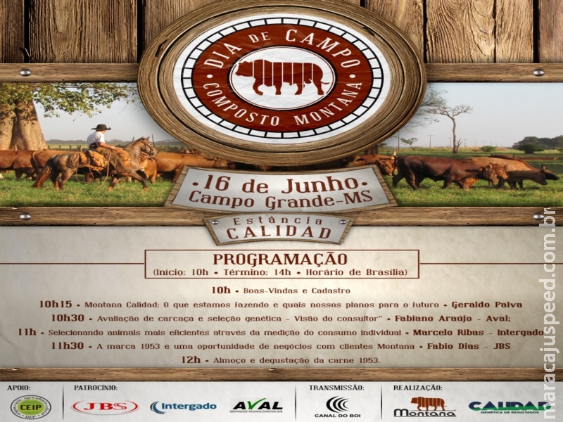Programa Montana e Montana Calidad promovem dia de campo sobre seleção genética para melhores carcaças bovinas, consumo individual e produção de carne premium Programa Montana e Montana Calidad promovem dia de campo sobre seleção genética para melhores carcaças bovinas, consumo individual e produção de carne premium