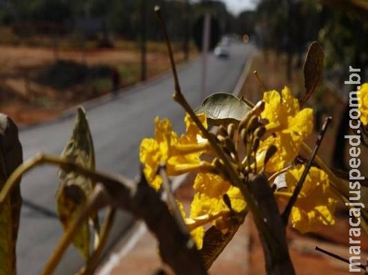 Antes de a frente fria chegar ao MS, previsão de altas temperaturas no fim de semana