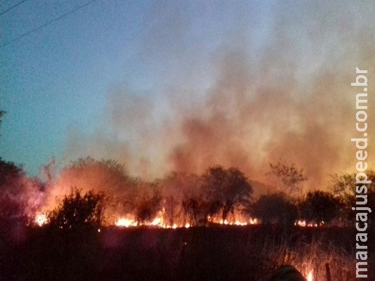 Bombeiros do Brasil e polícia boliviana combatem incêndio que ameaçava gasoduto no país vizinho Bombeiros do Brasil e polícia boliviana combatem incêndio que ameaçava gasoduto no país vizinho