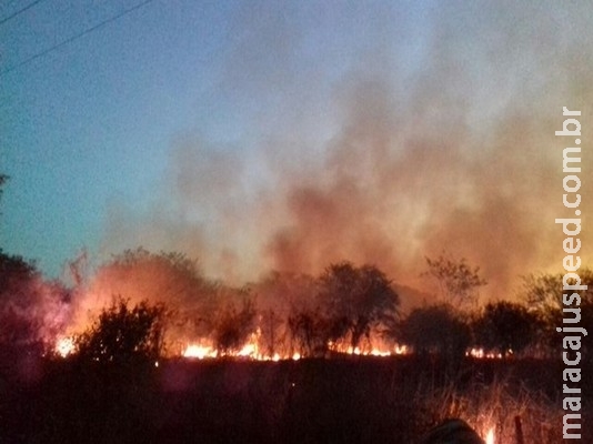 Bombeiros do Brasil e polícia boliviana combatem incêndio que ameaçava gasoduto no país vizinho