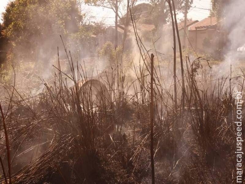 Casos de incêndio em MS superam em 53% os registrados em 2017 Casos de incêndio em MS superam em 53% os registrados em 2017