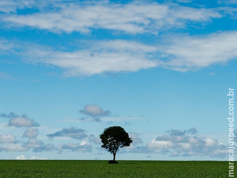 Censo mostra aumento da área destinada à agricultura no país