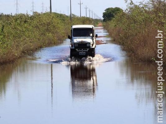 Cheia recua e parte do gado volta às áreas altas no Pantanal